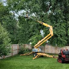 Best Aeration Services  in Omaha, NE