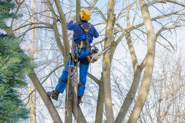 Mulching Services in Omaha, NE